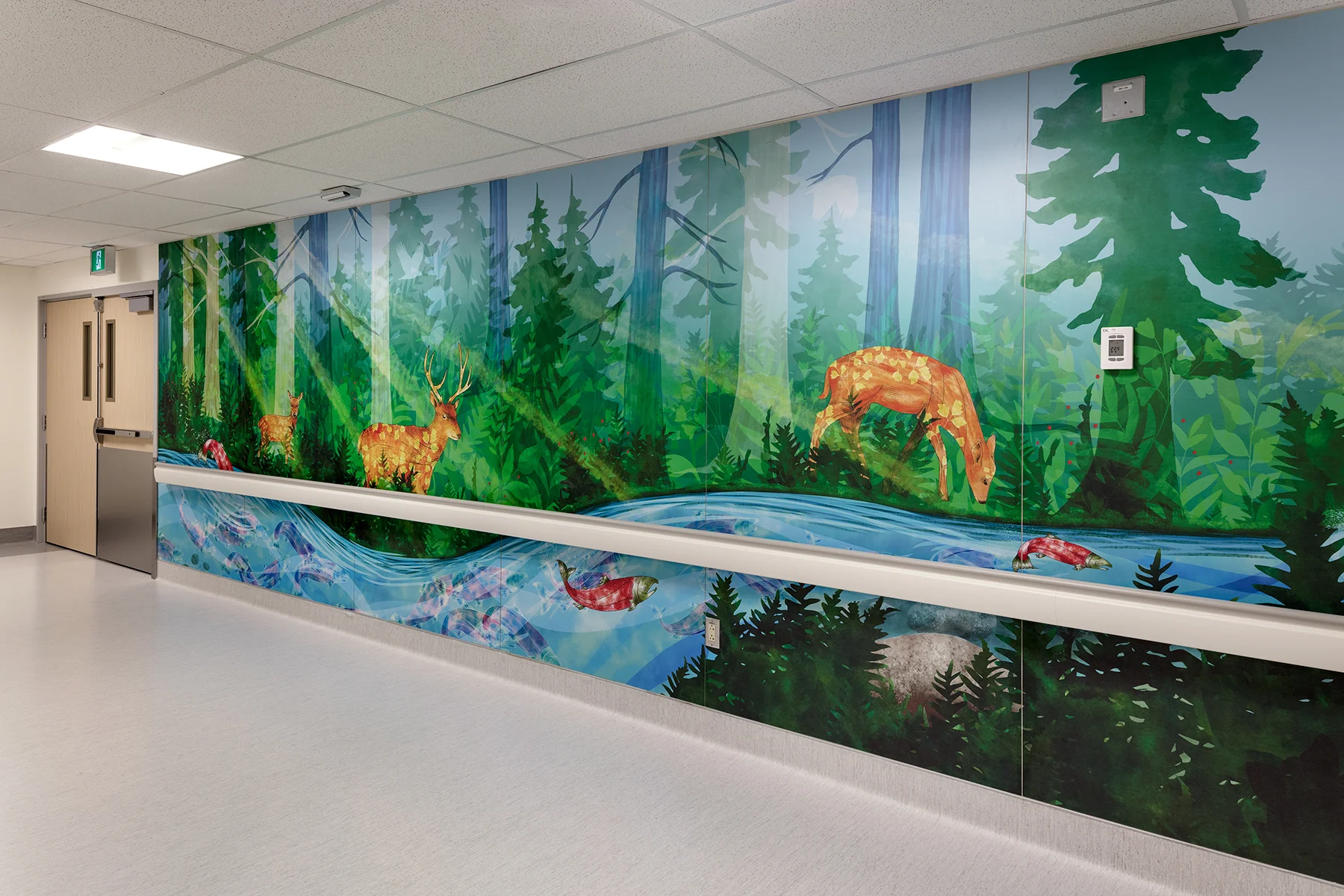 BC Children's Hospital Murals Revealed! — Sarah Clement