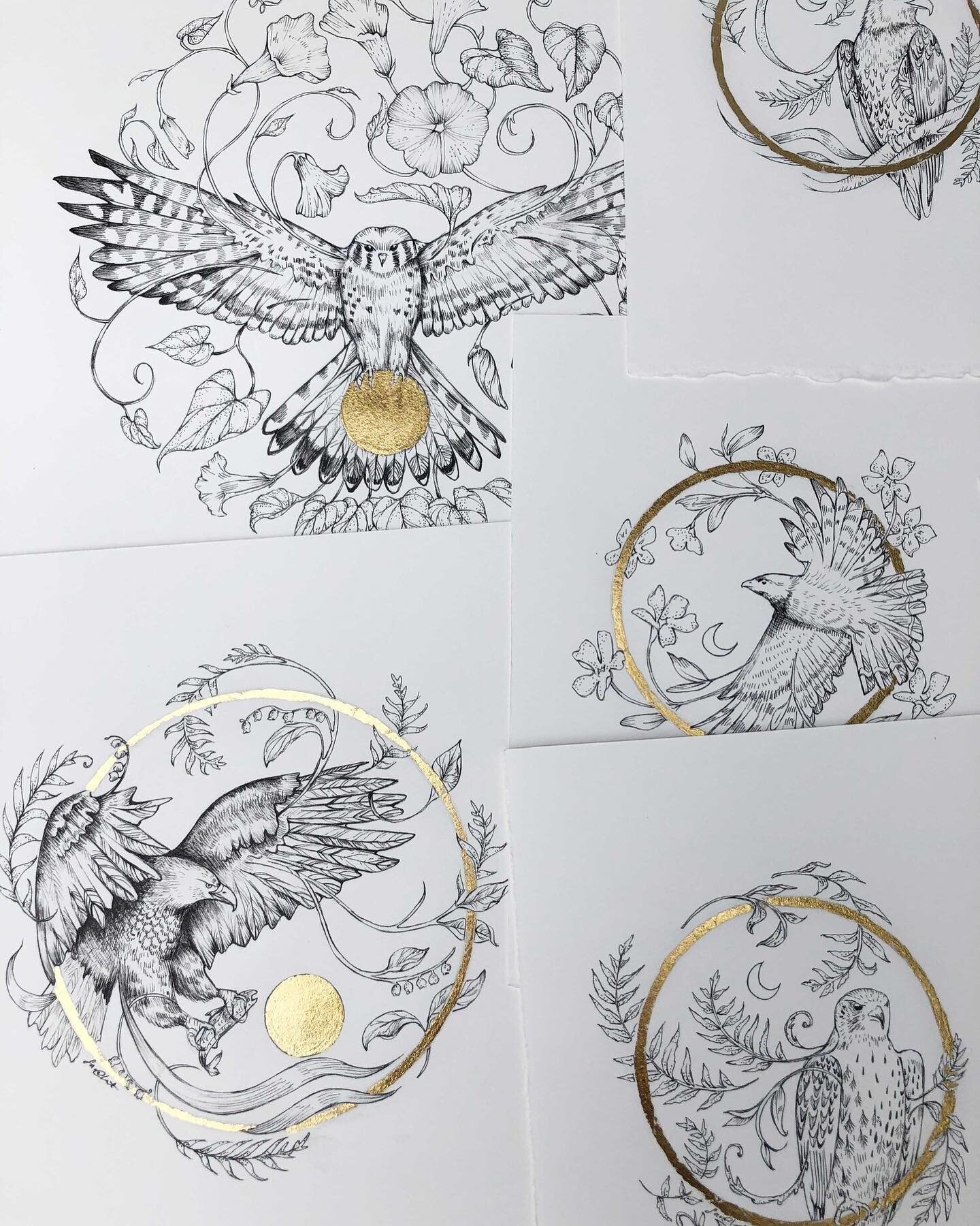 Feeling the call to get back into some ink and gold leaf. ✨✨

Drawings from my &lsquo;Between Earth &amp; Sky&rsquo; collection.

#illustration #ink #drawing #artandnature #creativeprocess 
#botanicalillustration #botanical #birds #pnwbirds #birding 