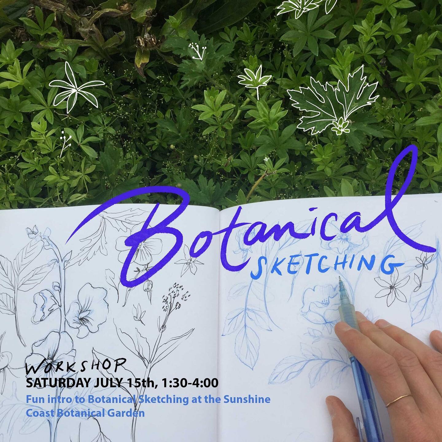 Let's go on a field trip! 
Come join me for a botanical sketching workshop at @sunshine_coast_botanicalgarden Saturday July 15th, 1:30-4:00pm. ⁠
🌱
Explore the fundamentals of drawing botanicals from observation. We'll start off with some technical e