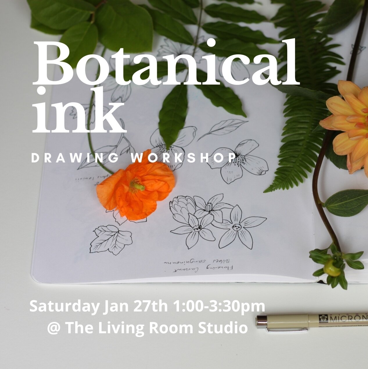 Let&rsquo;s draw! Join me for my Intro to Botanical Ink Drawing Workshop on Jan. 27th.
🌱 
⁠⁠Together we'll explore the fundamentals of drawing botanicals with a series of exercises to create value, shapes, textures, light &amp; shadow with ink. Prac