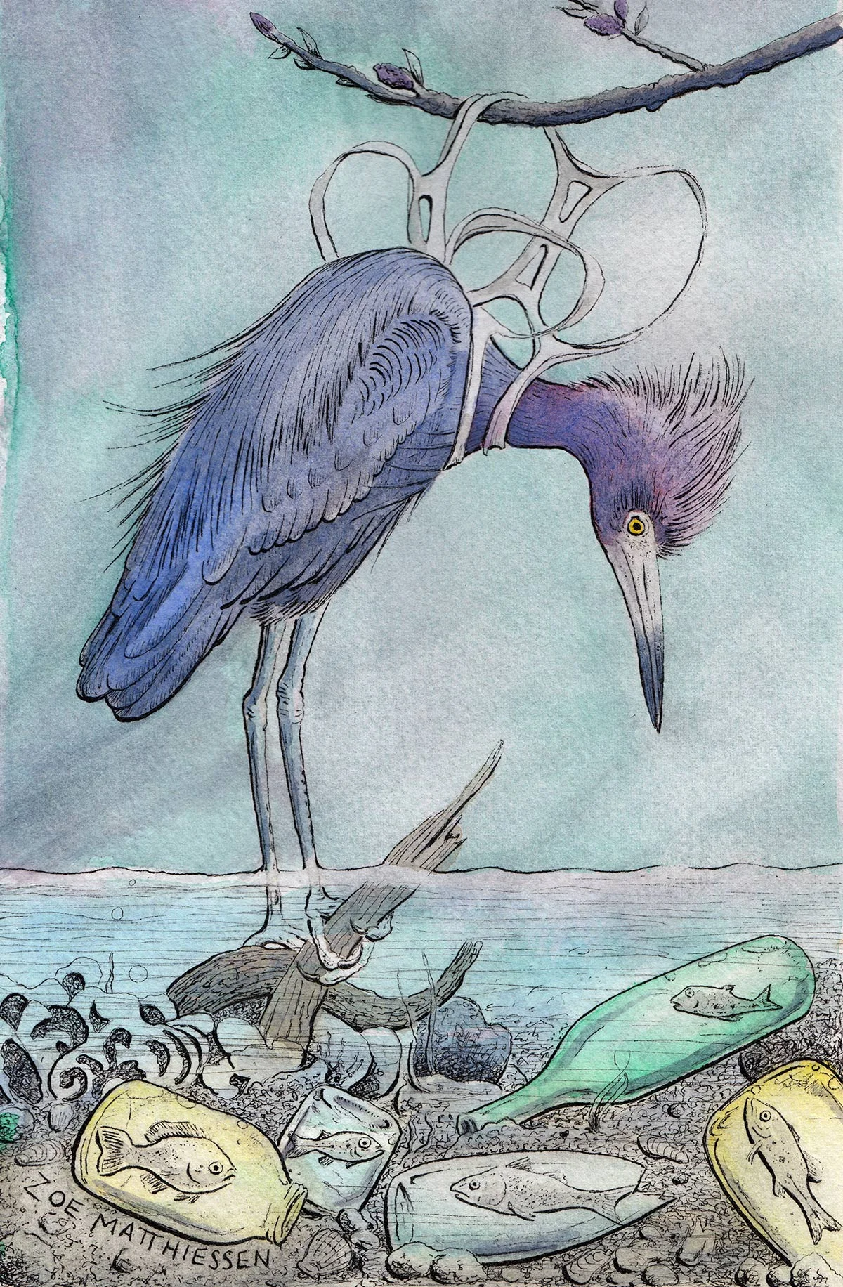 Bird Gone Fish In, New Haven Independent