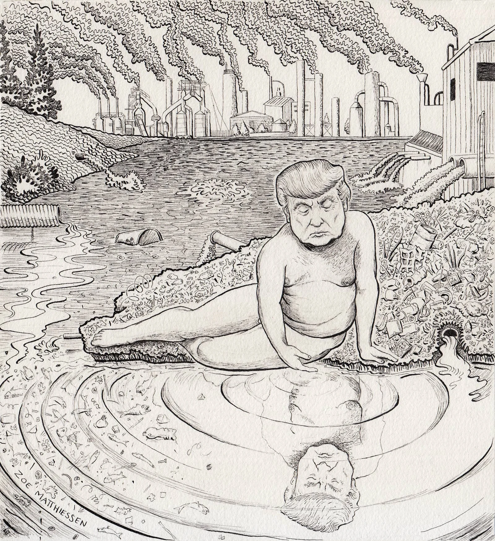 The Narcissystem, The Nation