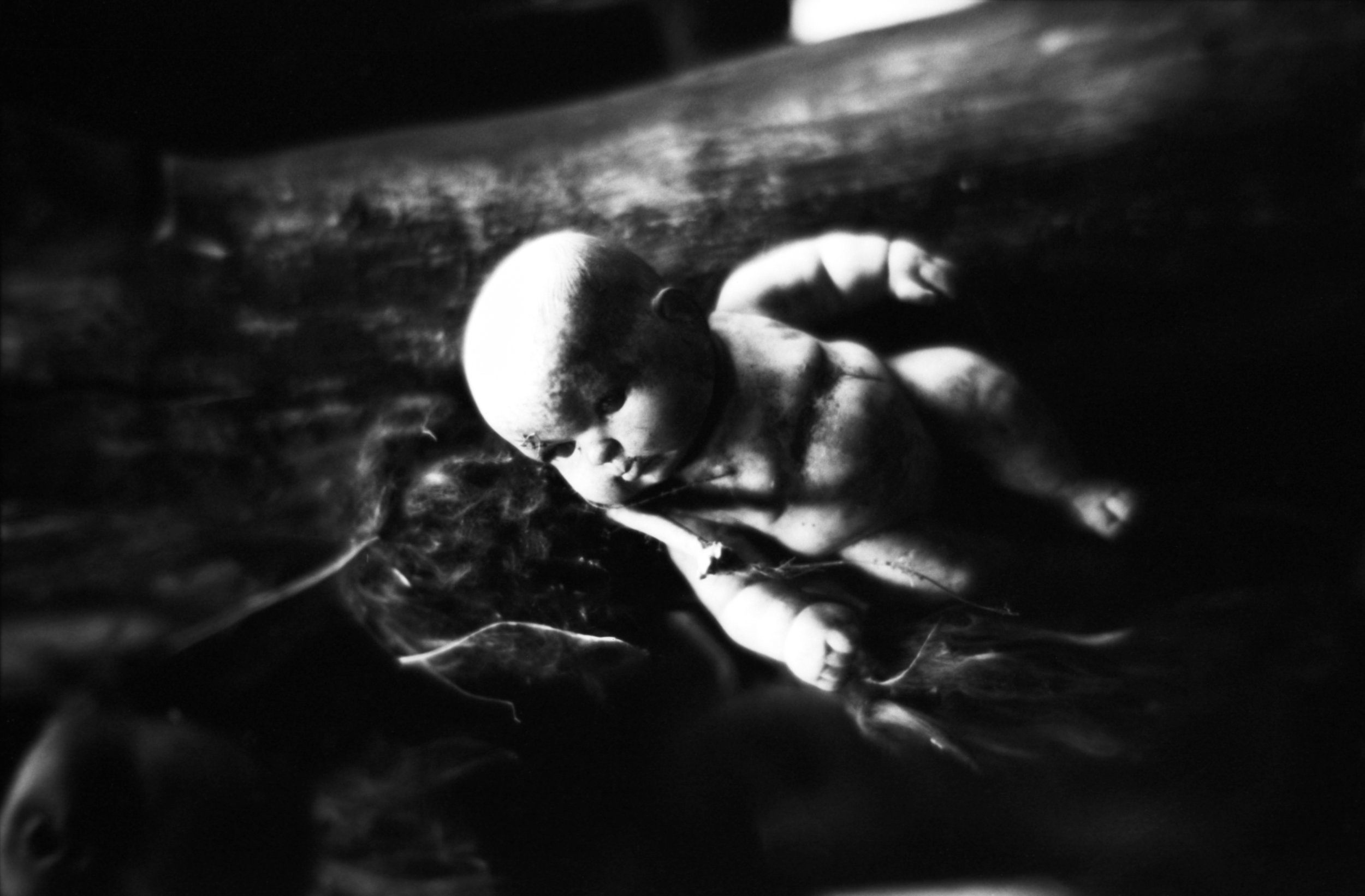 Doll 6