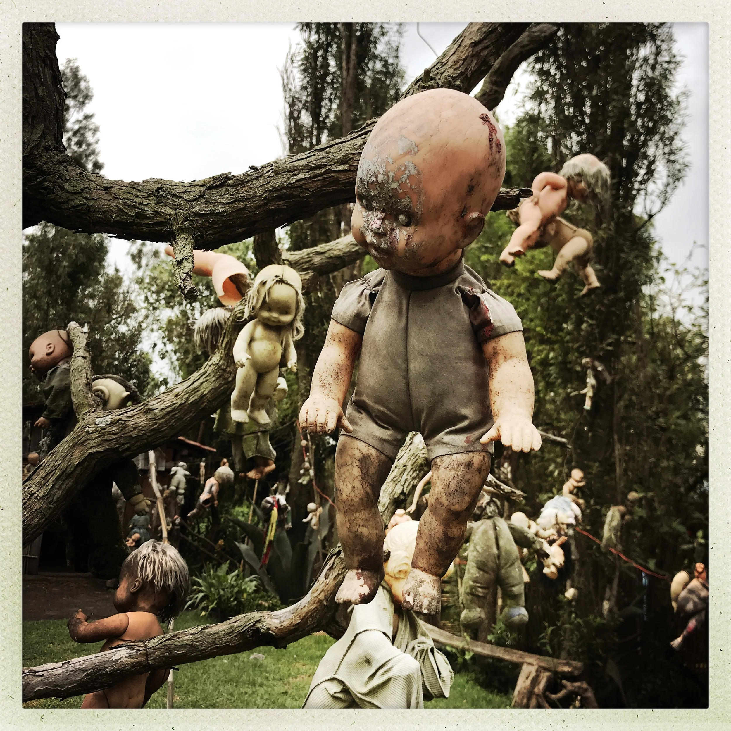 Doll 1C
