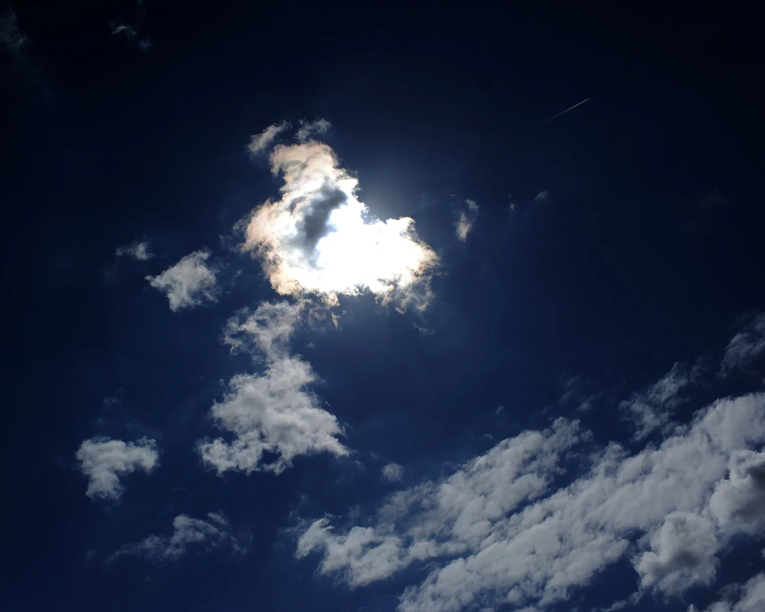 blue 3.jpg
