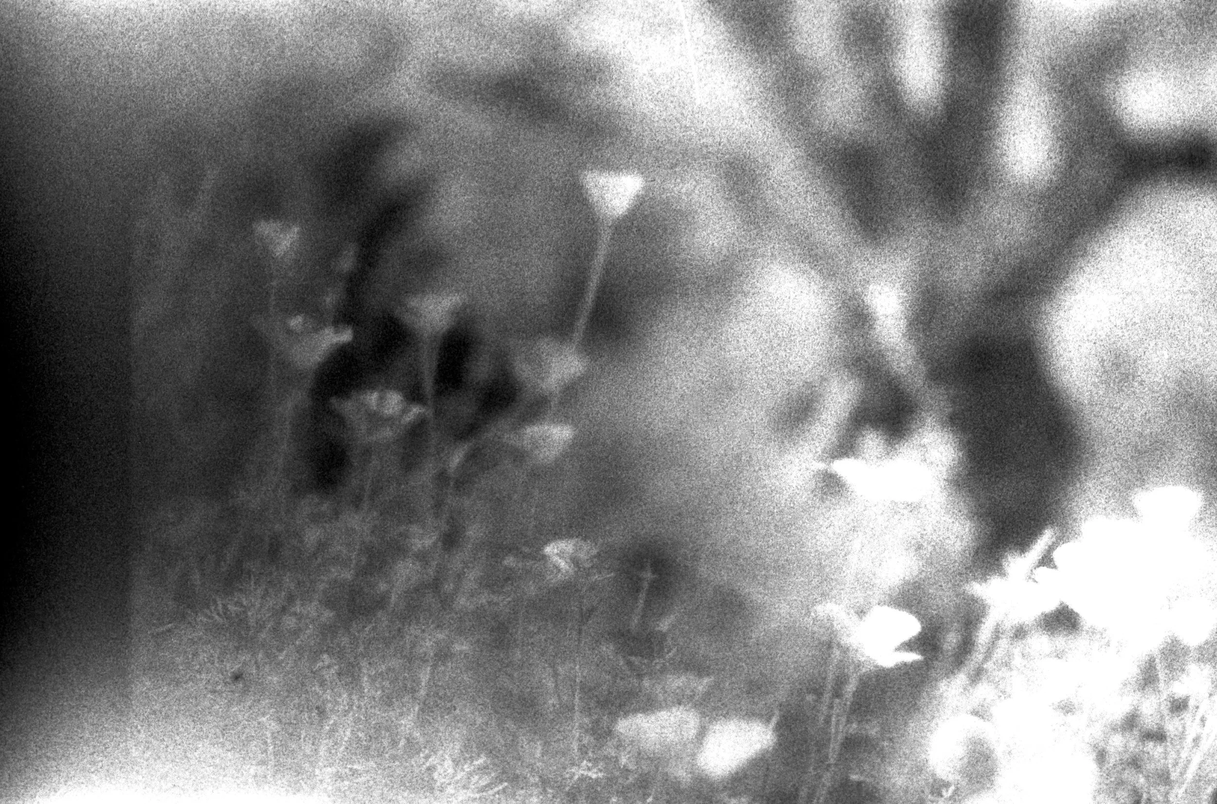  infrared EfkeIR820 35mm film 