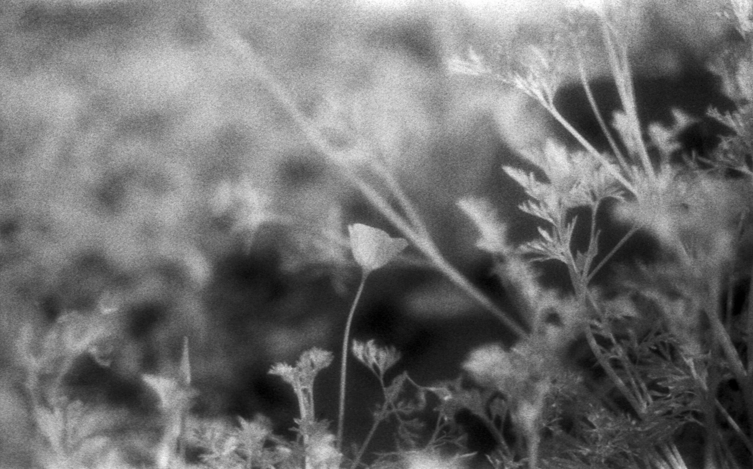 Efke IR 001  3.jpg