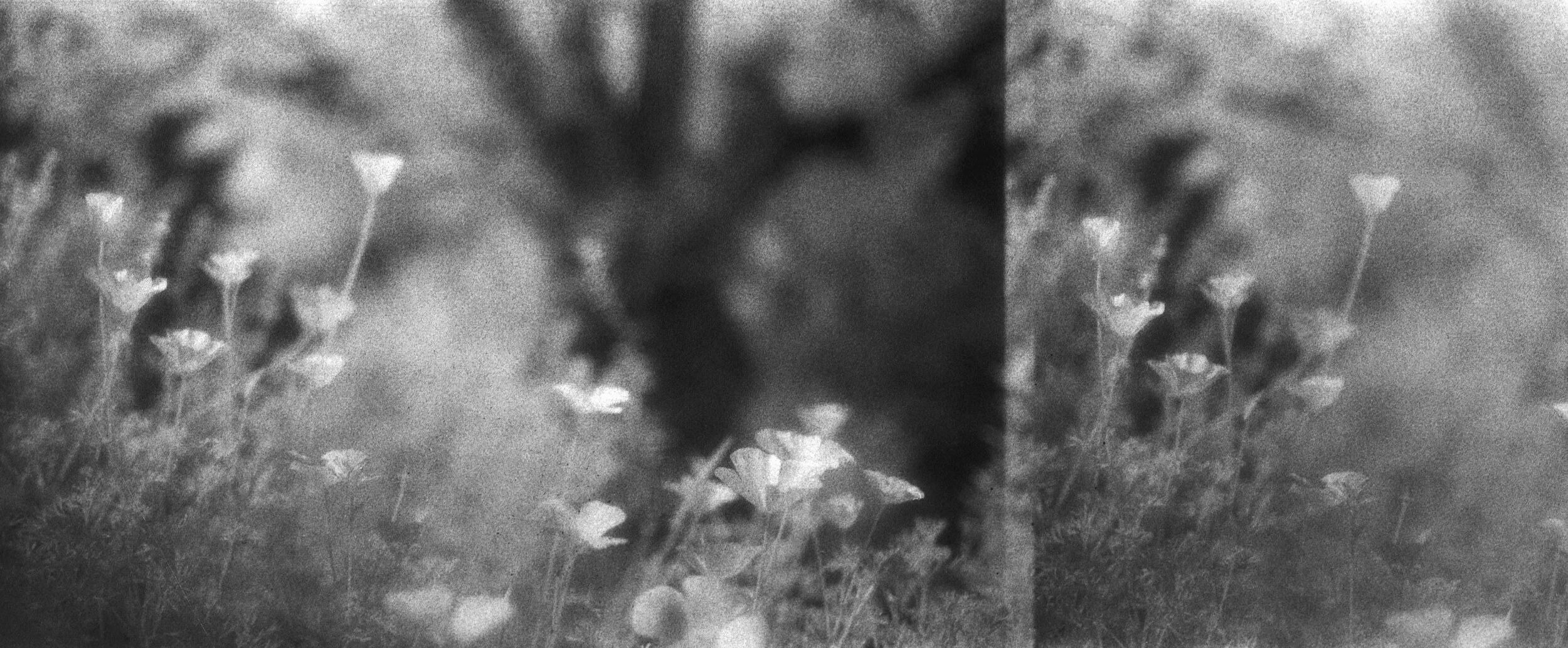 Efke IR 001  16 copy.jpg
