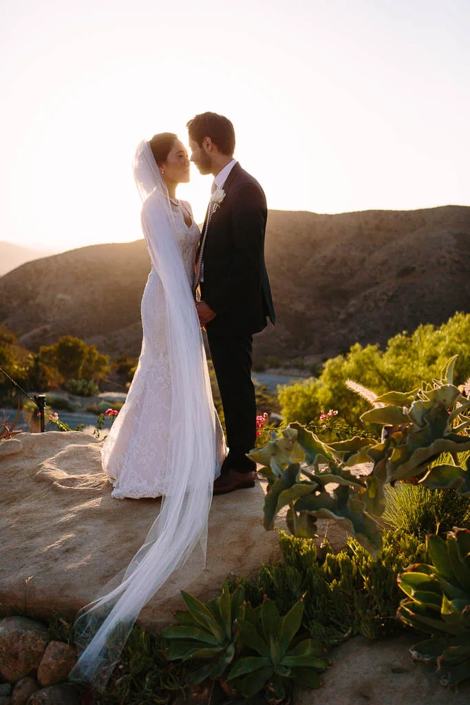 Sarah&HoumanWeddingPhotos-BrianLeahyPhoto-0366-2.jpg