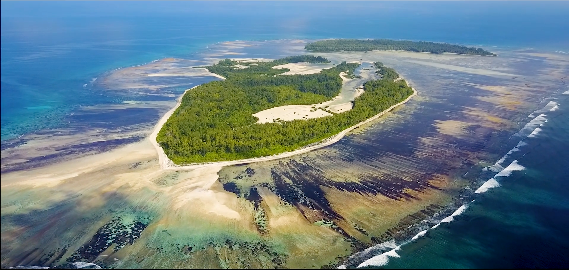 Blue Safaris Seychelles