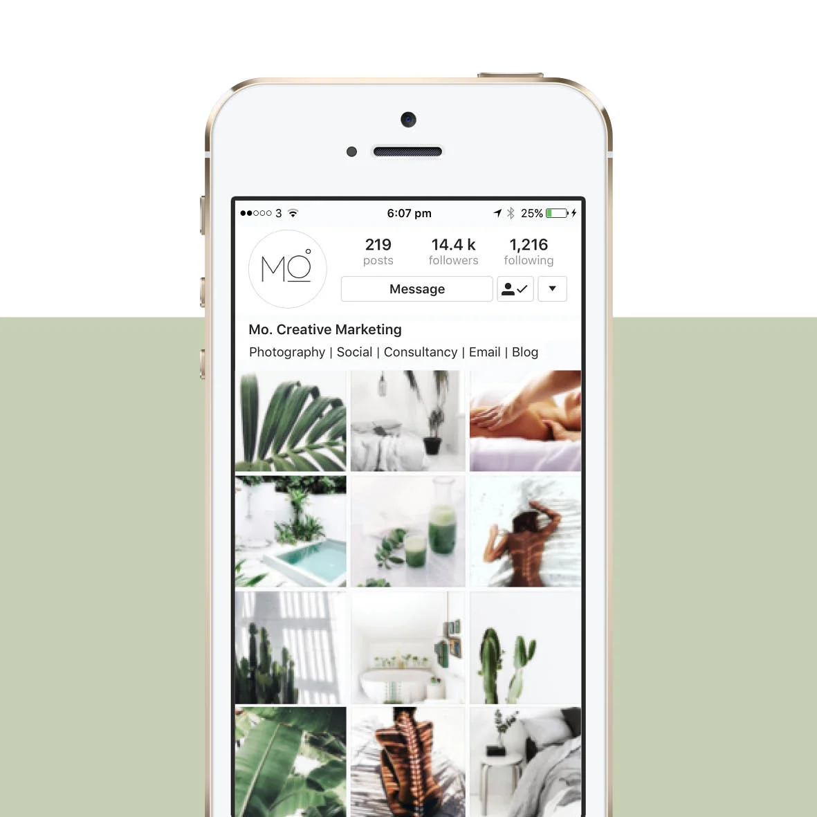 Instagram_Mockup_v14.jpg