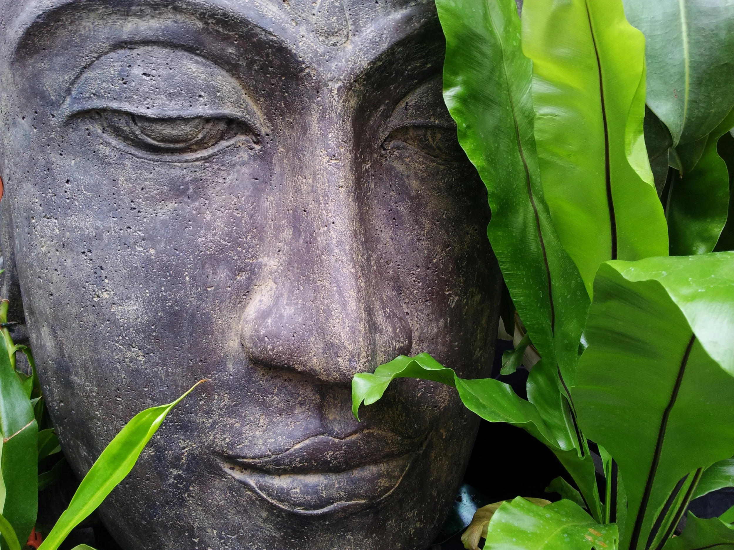 zen-178992.jpg