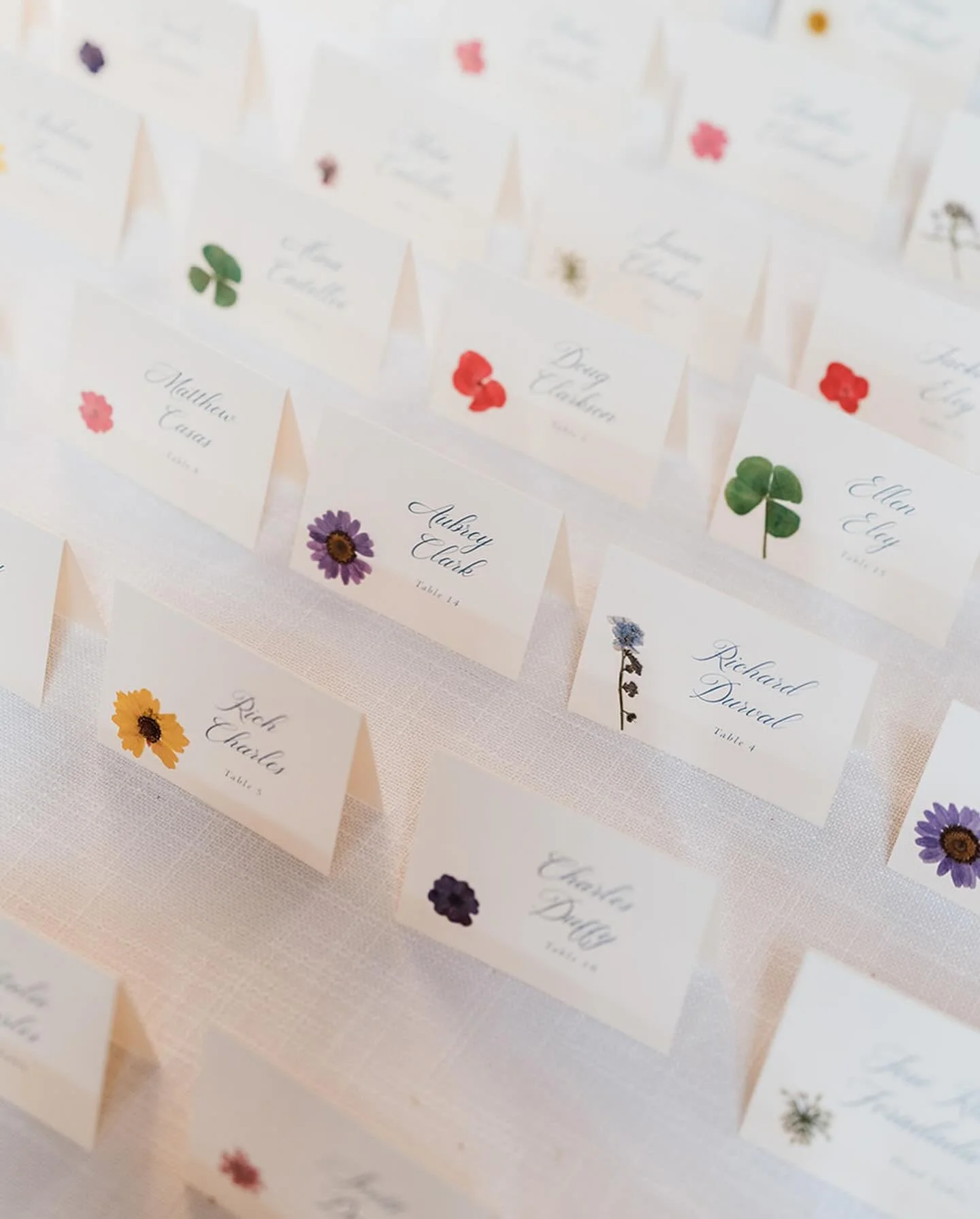 A+J 🪻

photos &bull; @carhartphotography 
planner &bull; @pearleventsaustin @maddy_didier 
venue &bull; @theaddisongrove 
floral &bull; @nativebloomfloral 
beauty &bull; @adoremakeupsalon 
entertainment &bull; @joshklausmusic 
cigar rolling &bull; @