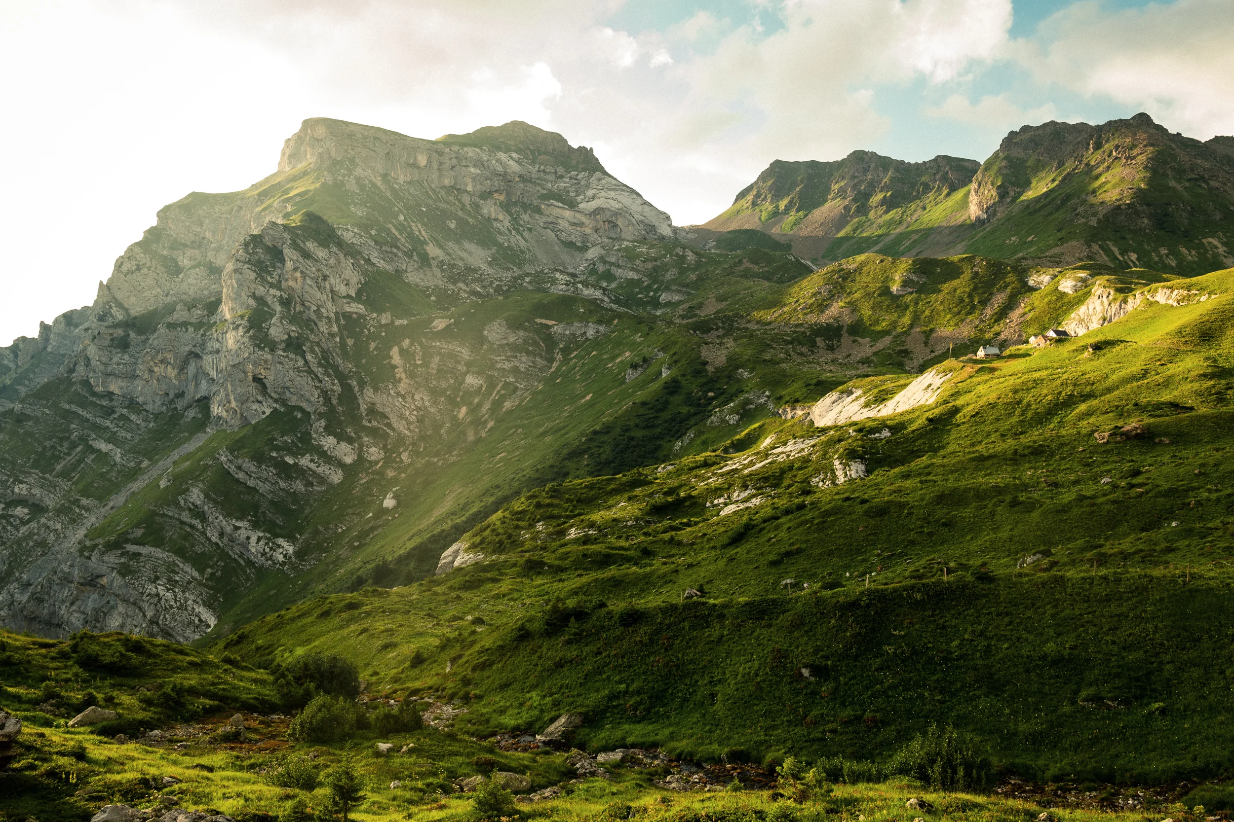 klein und unscheinbar steht die Alp in der Natur