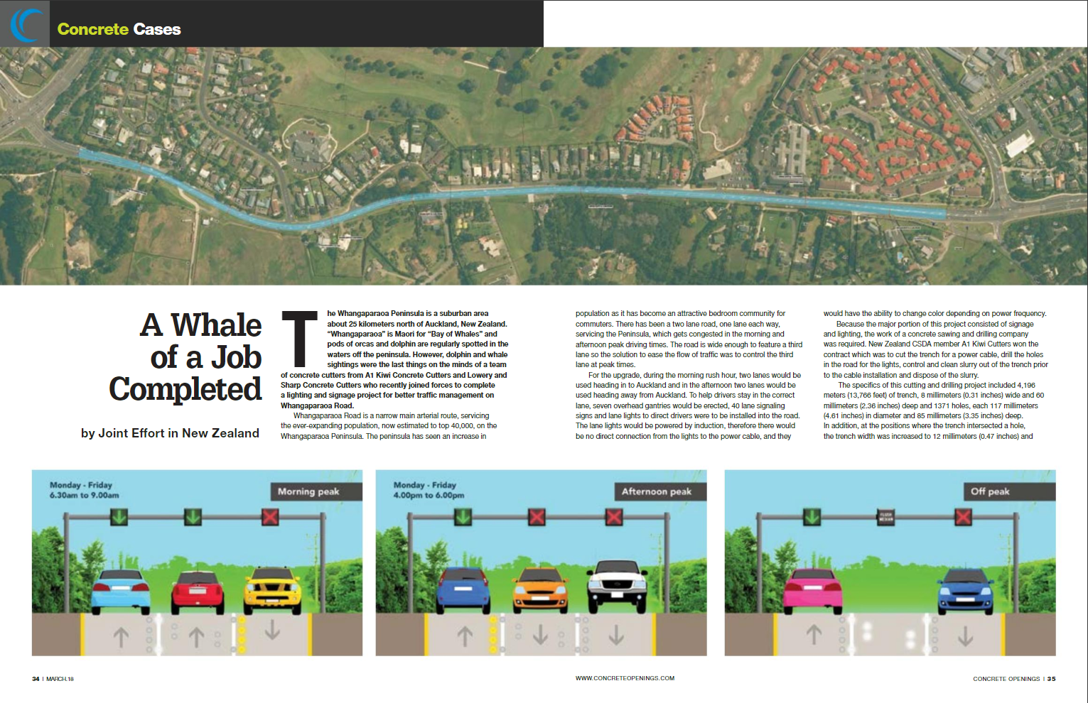 A Whale of a Job Completed by Joint Effort in New Zealand