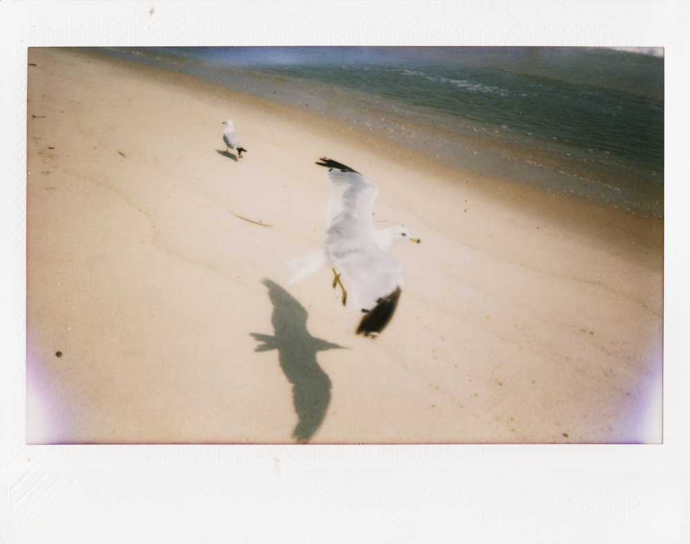 INSTANT FILM