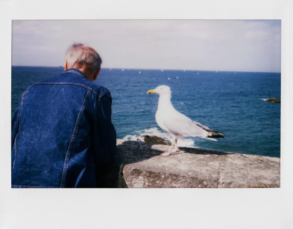 INSTANT FILM