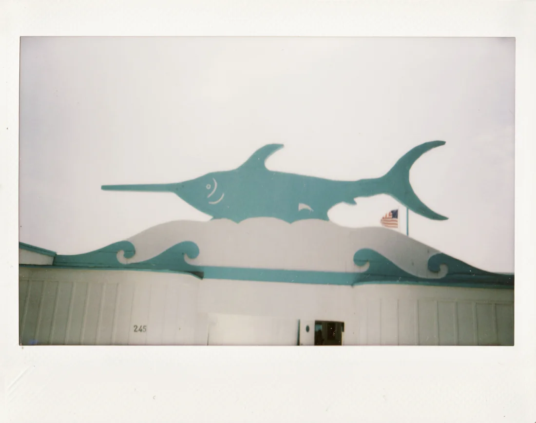 INSTANT FILM