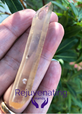 Pink Lemurian.png