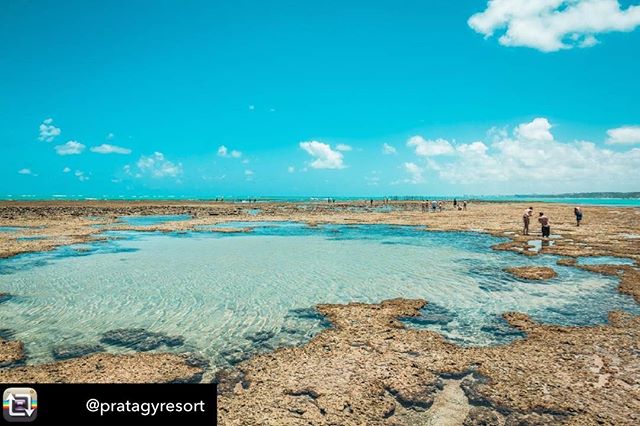 Repost from @pratagyresort using @RepostRegramApp - Desejo do fim de semana: &aacute;guas mornas das piscinas naturais do Pratagy 🌞💦
#momentopratagy #reservapratagy #pratagyallinclusiveresort #resortpratagy