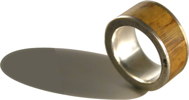 bamboo 3d.jpg
