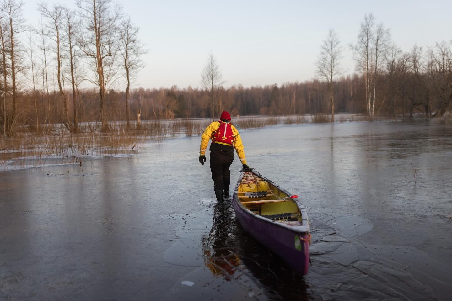This years fifth season floods in Soomaa National Park. With @seakayakingestonia