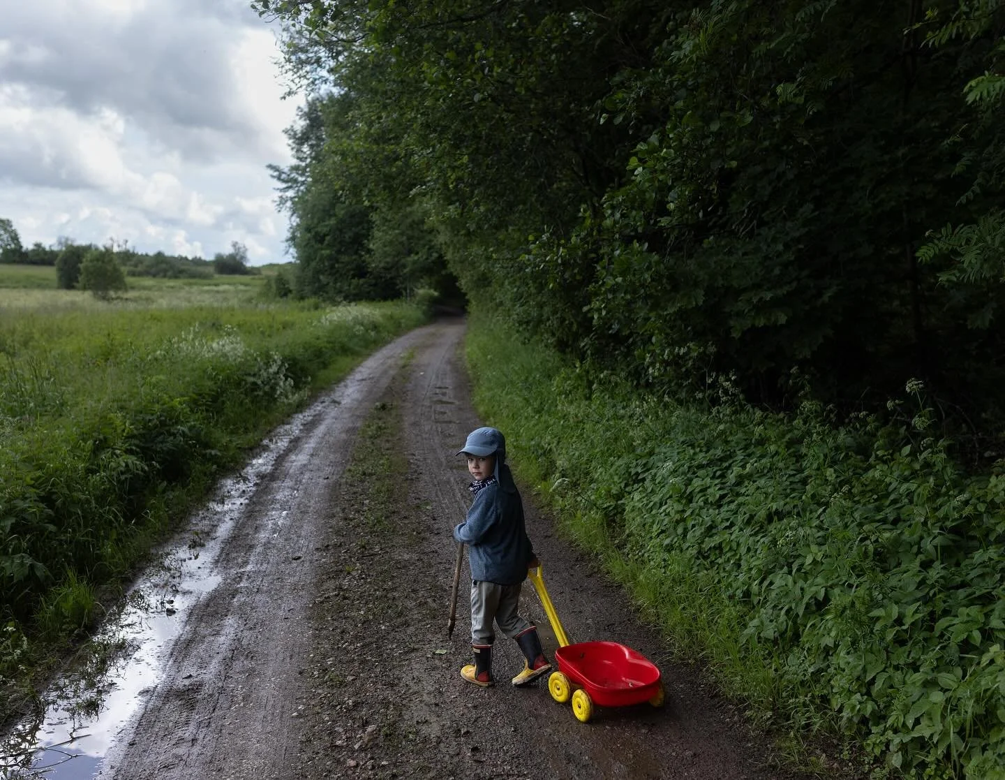 Snail picking mission