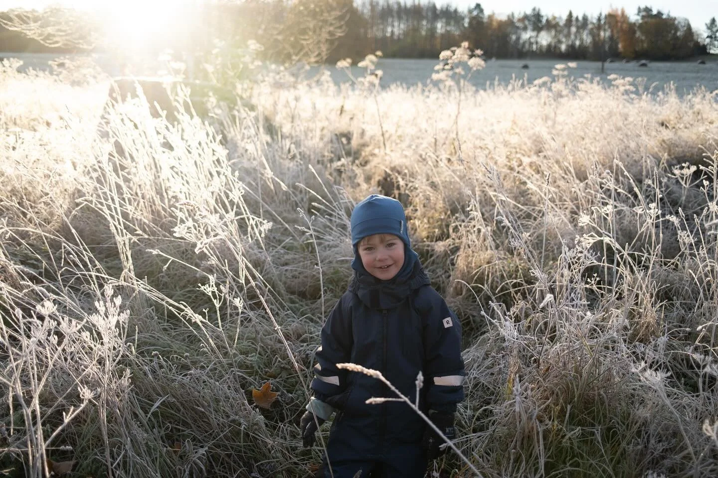 Jan 4 🎉
Here's a view into the life of a 3 year old.