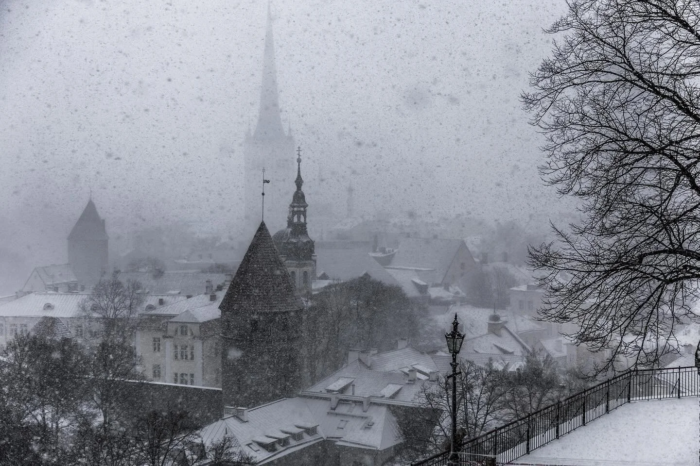 Postcard from Tallinn. 

#tallinn
#oldtowntallinn
#tallinnoldtown
#visitestonia
#estonia
#winterintown
#snowfall
#wintermood
#nordicwinter
#moodycity
#atmospheric
#quietmoments
#cityscape
#urbanpoetry
#timeless
#fineartphotography