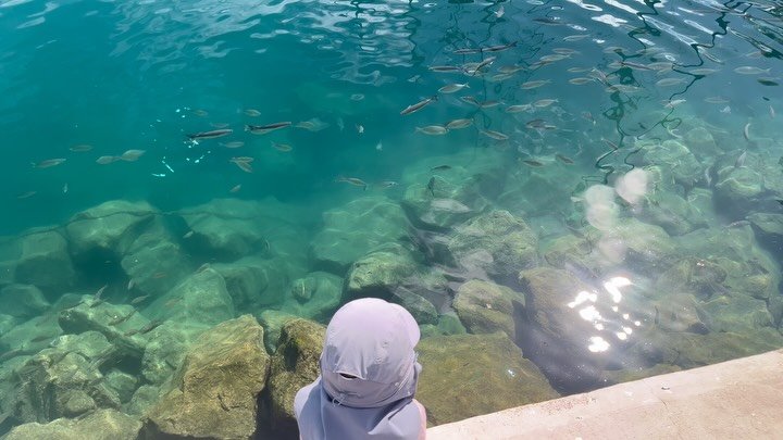 Exploring Canary Islands with a 4 year old.

#canaryisland #tenerife #grancanaria #visitcanarias #visittenerife