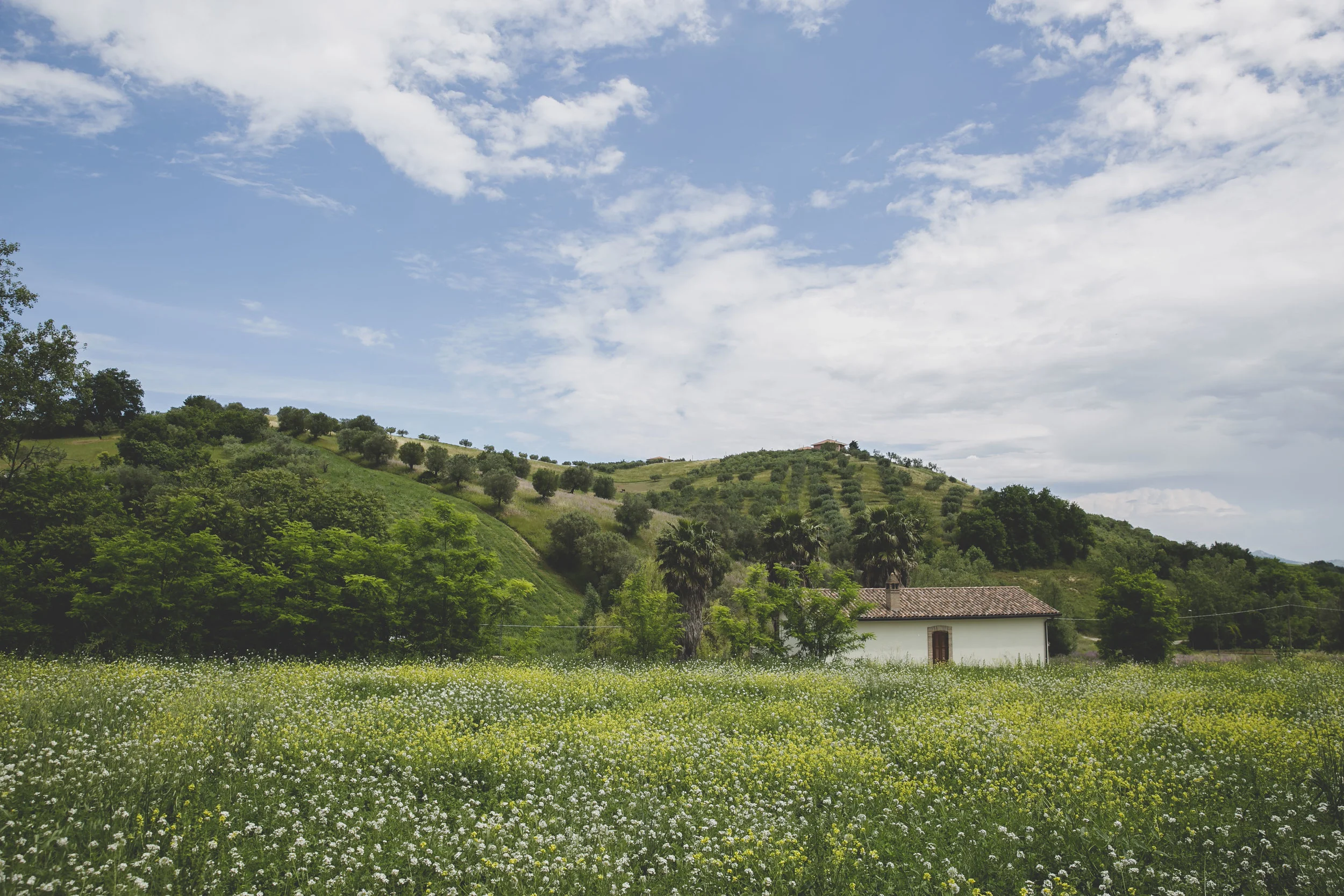 Norika e Attilio LOW-1.jpg