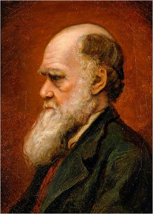 Darwin's architect metaphor