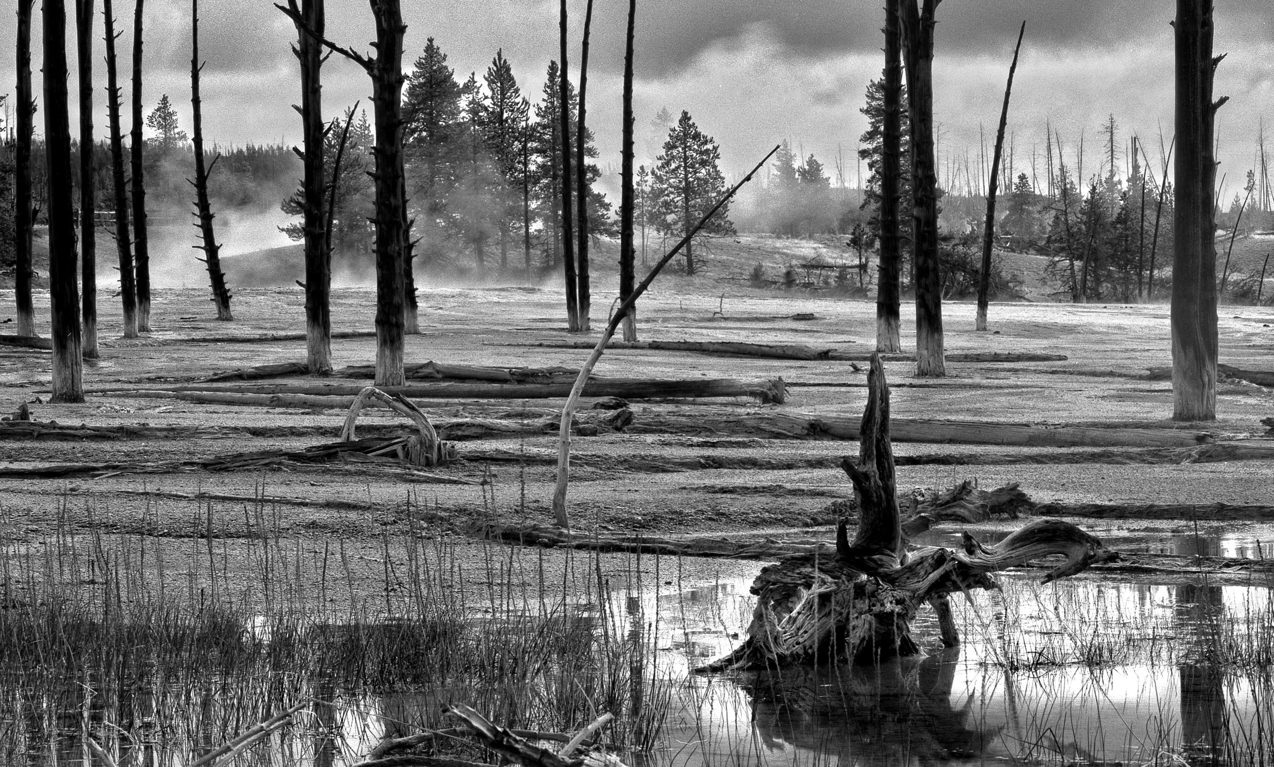 Geyser Wash 2