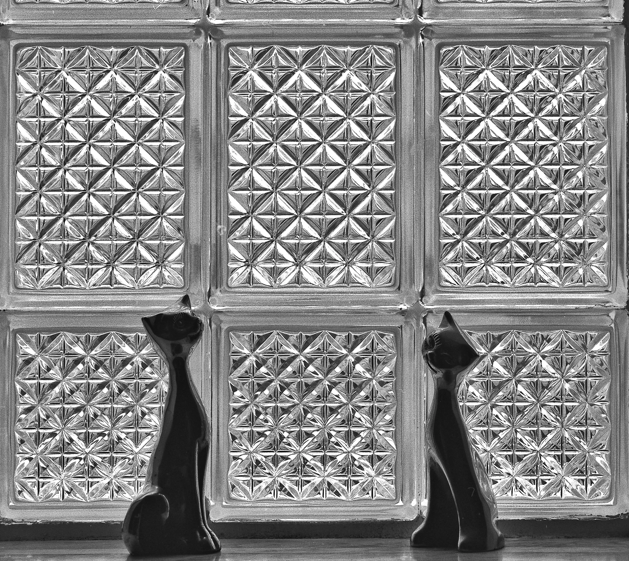 Mom's Cats