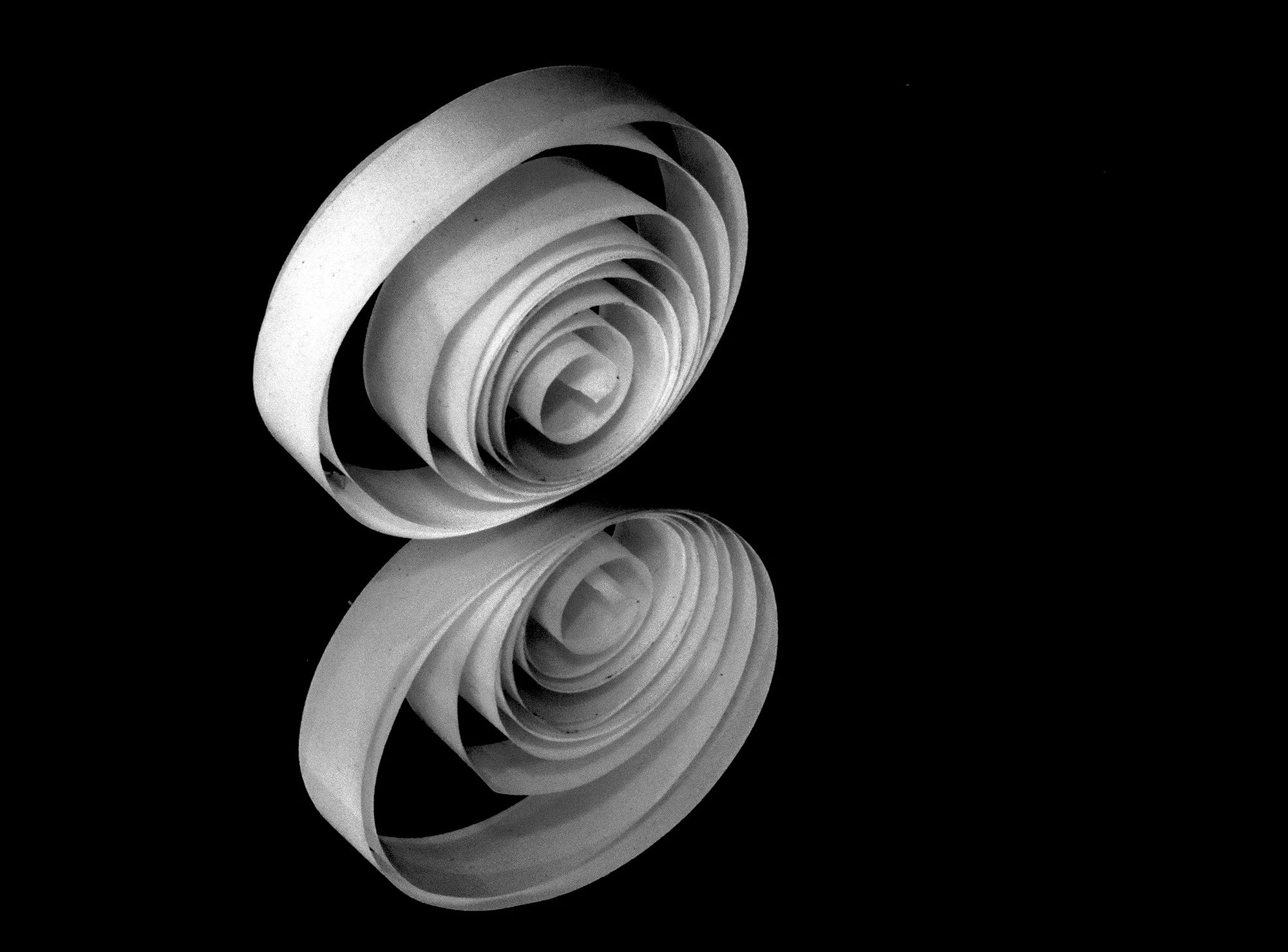 Paper Curls B&W