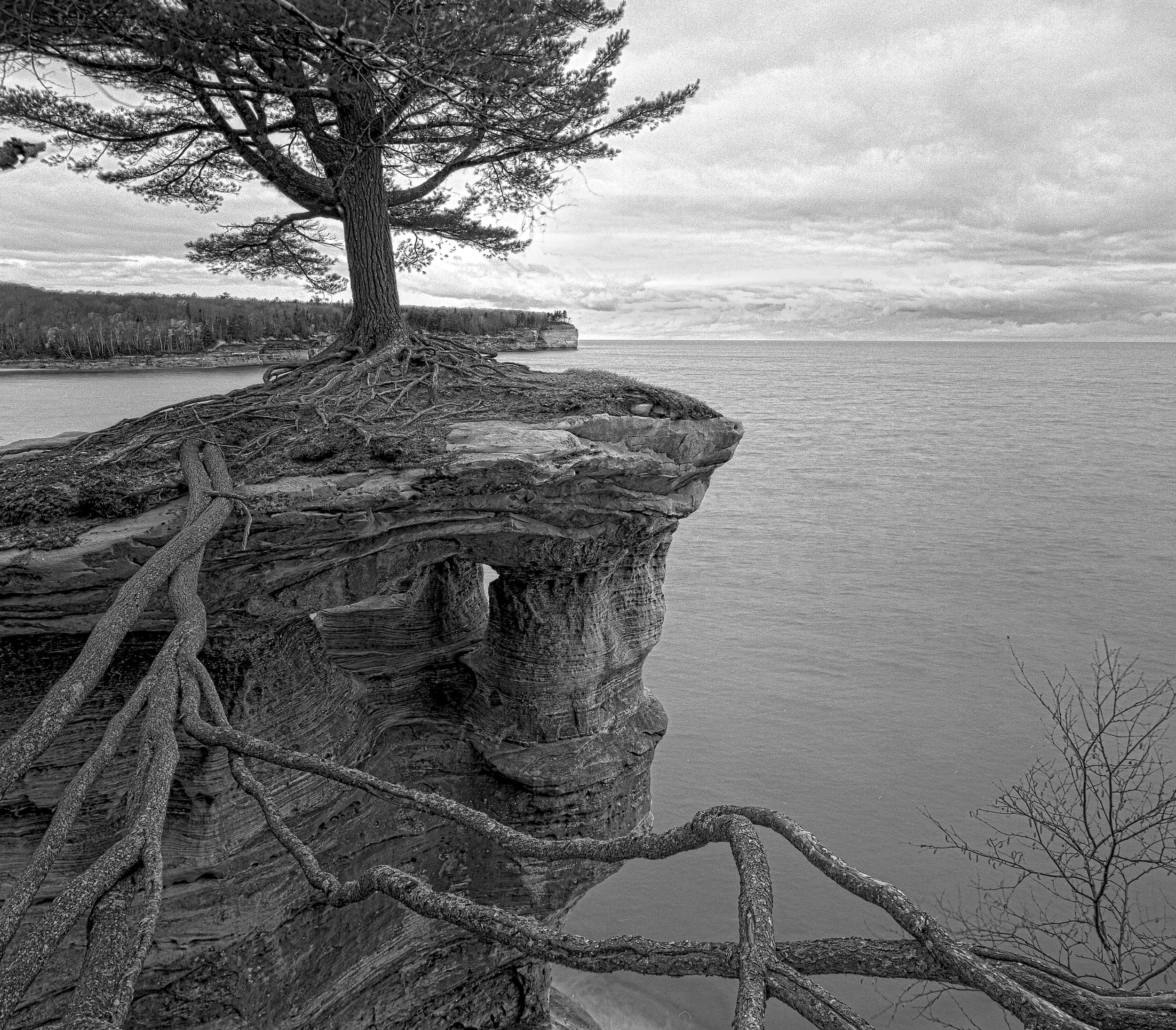 Pictured Rock Roots 2