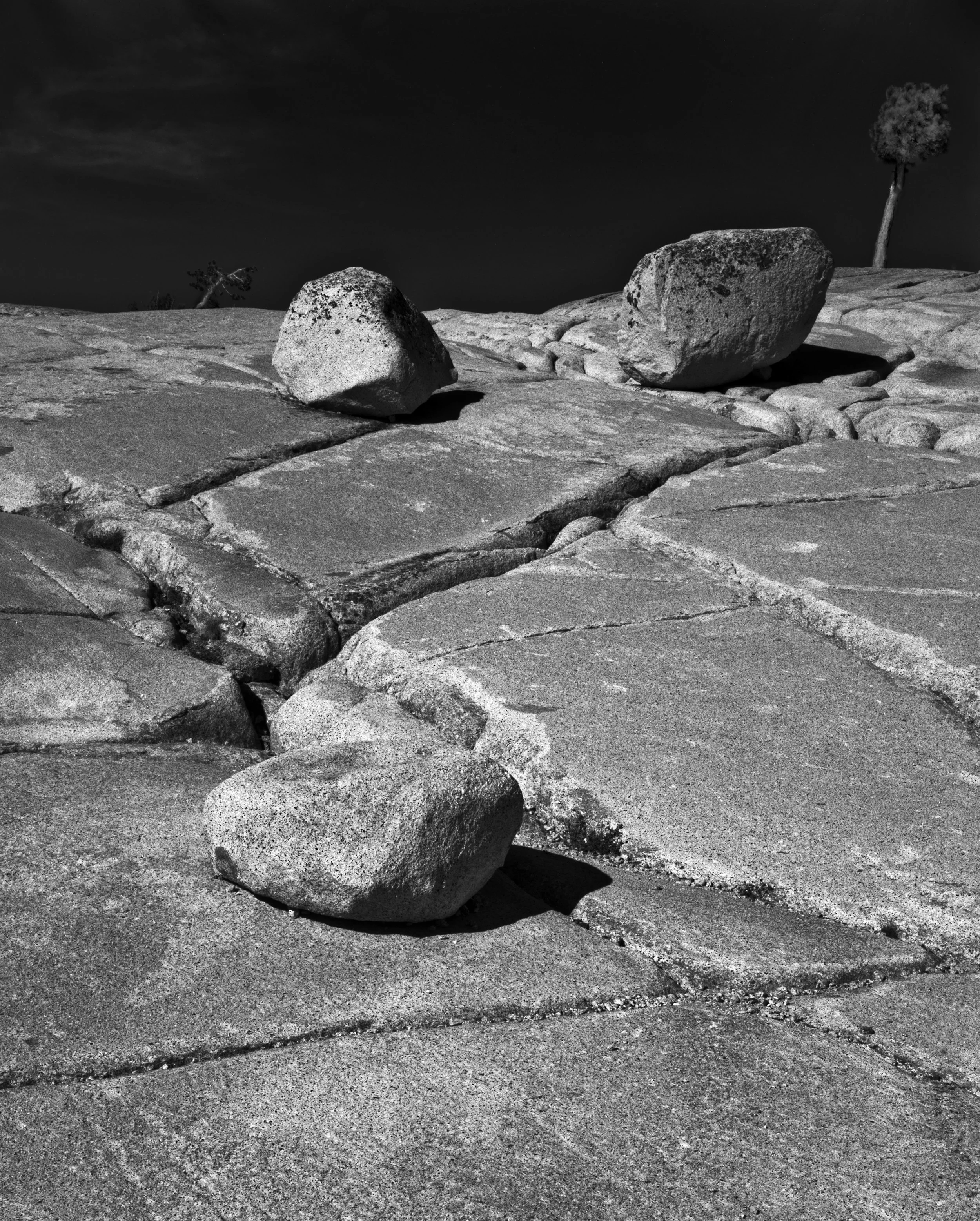 Lonesome Pine