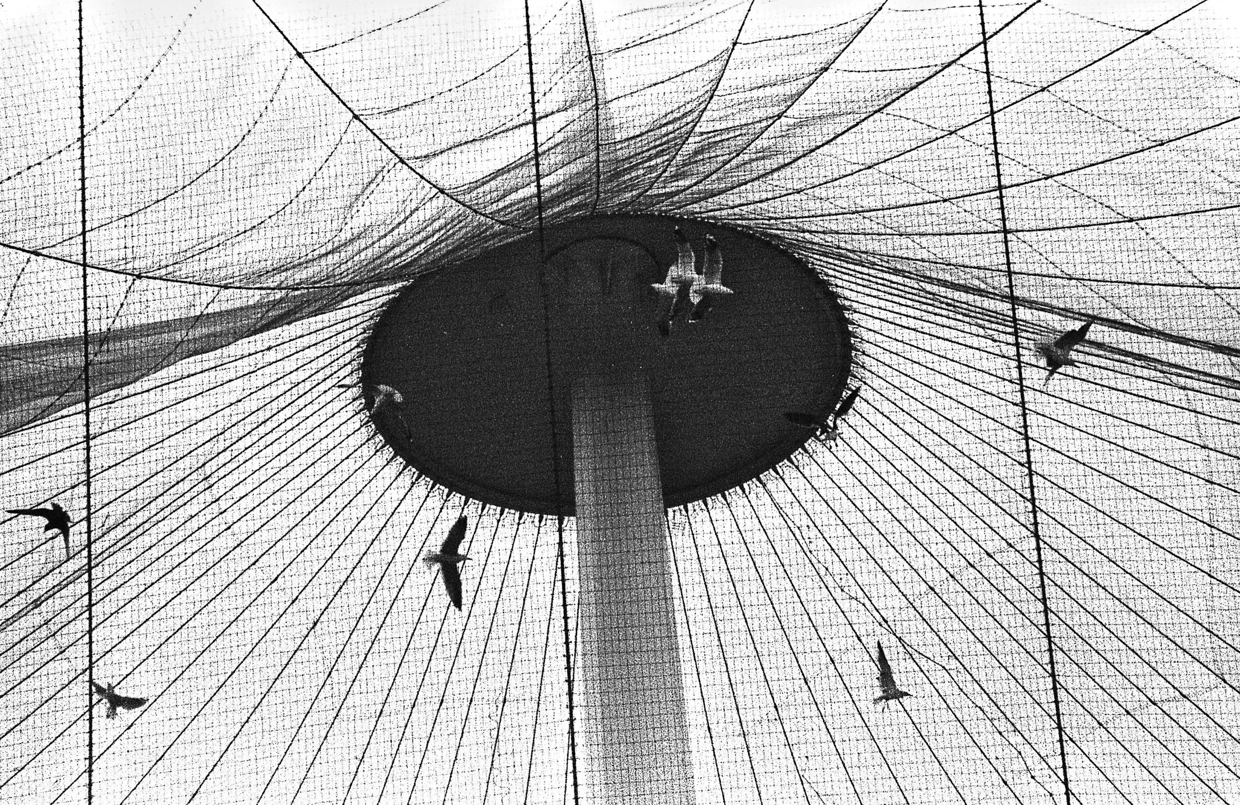 Illusions of Freedom