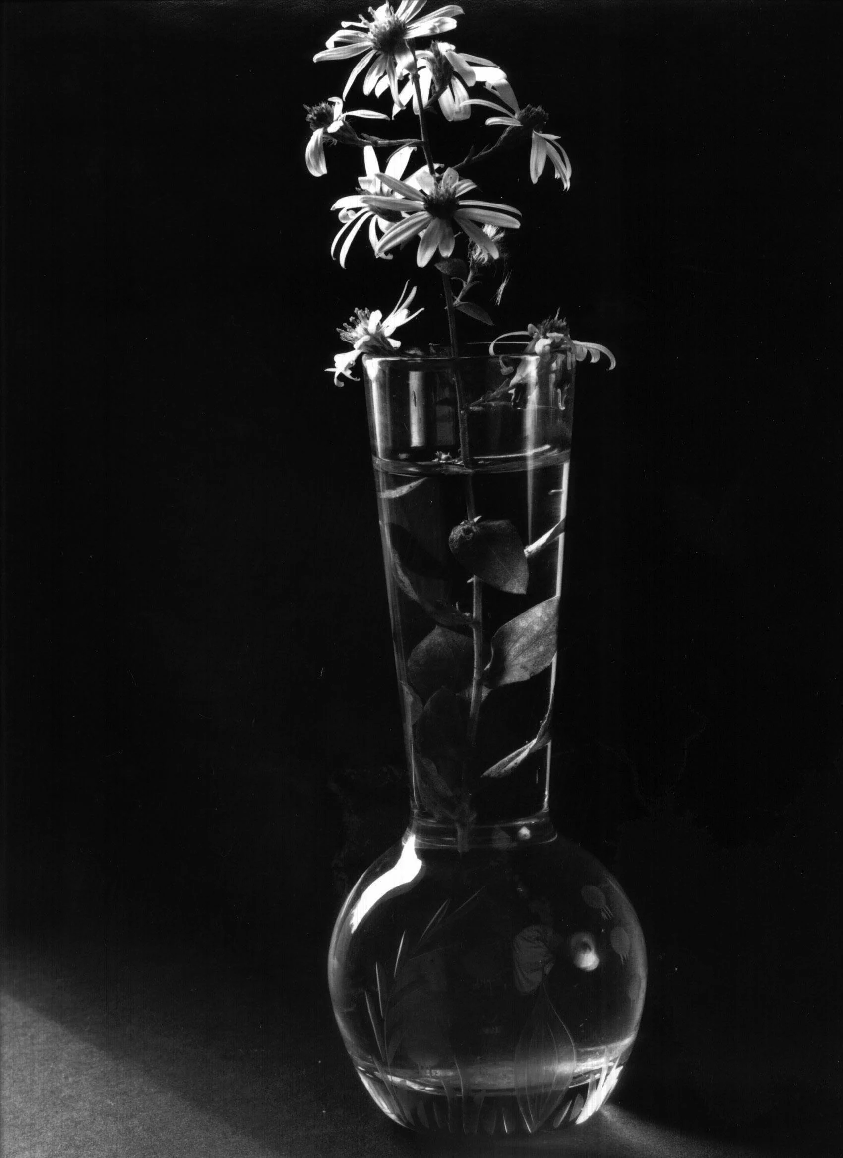 Translucent Vase