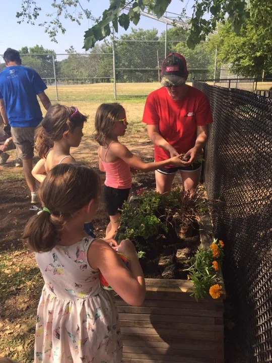 Flowers around Nyack — Nyack Park Conservancy