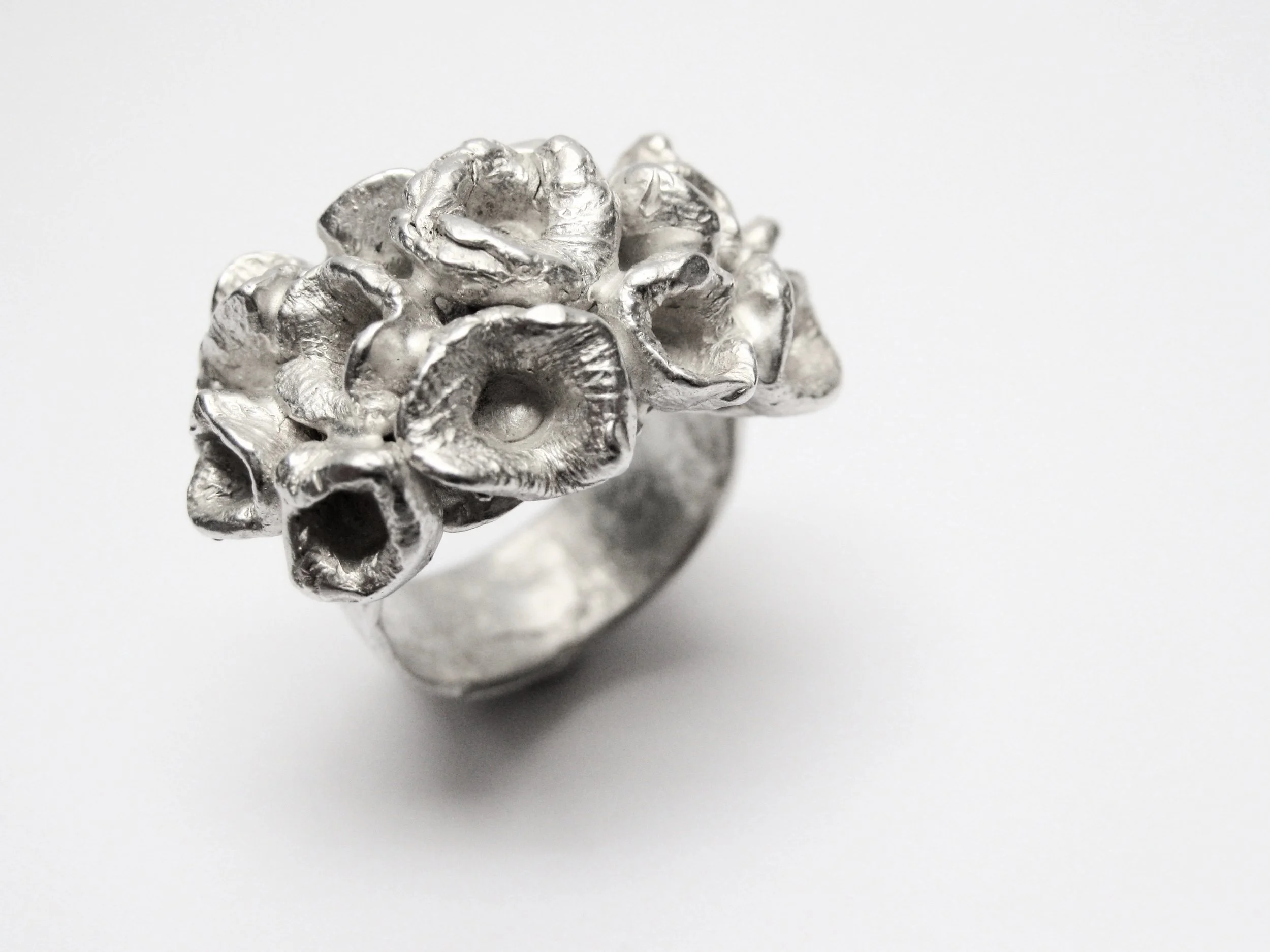 Ring Sie 1.jpg