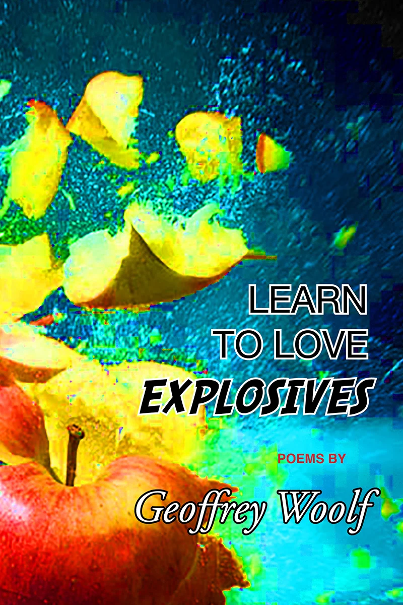 learn-to-love-explosives-cover.jpg