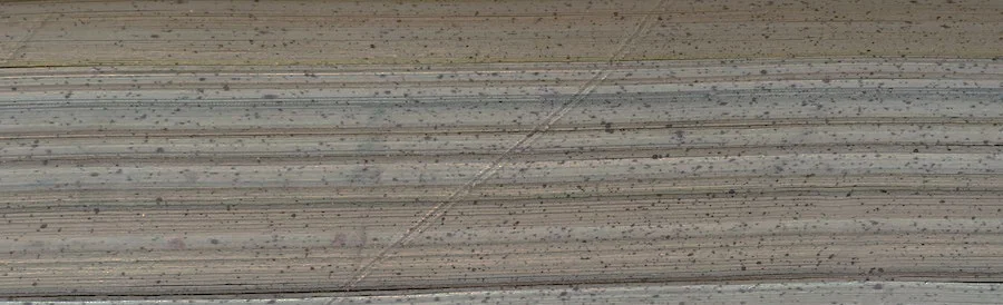 book-cut3.jpg