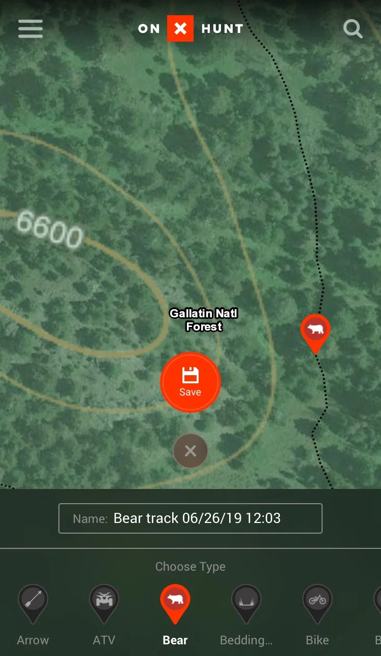 OnXexamplebeartrack.jpeg