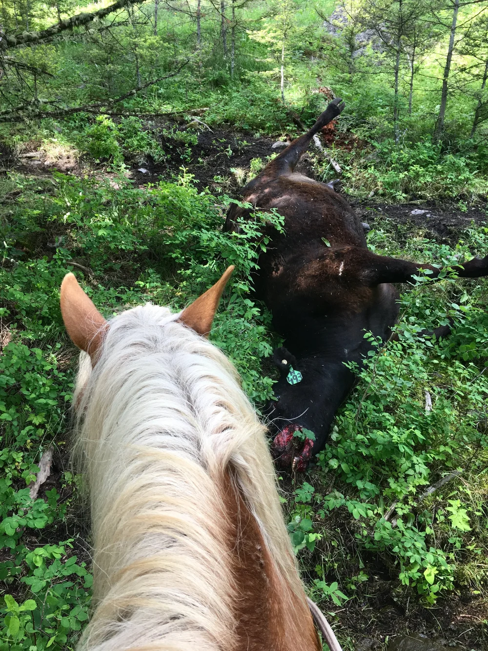 19 July 2019 — Tom Miner Basin Association