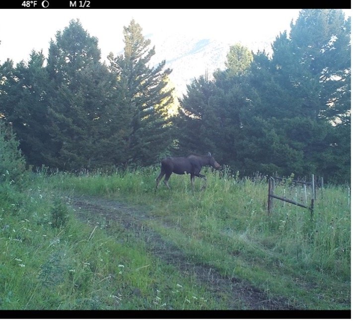 Blog — Tom Miner Basin Association