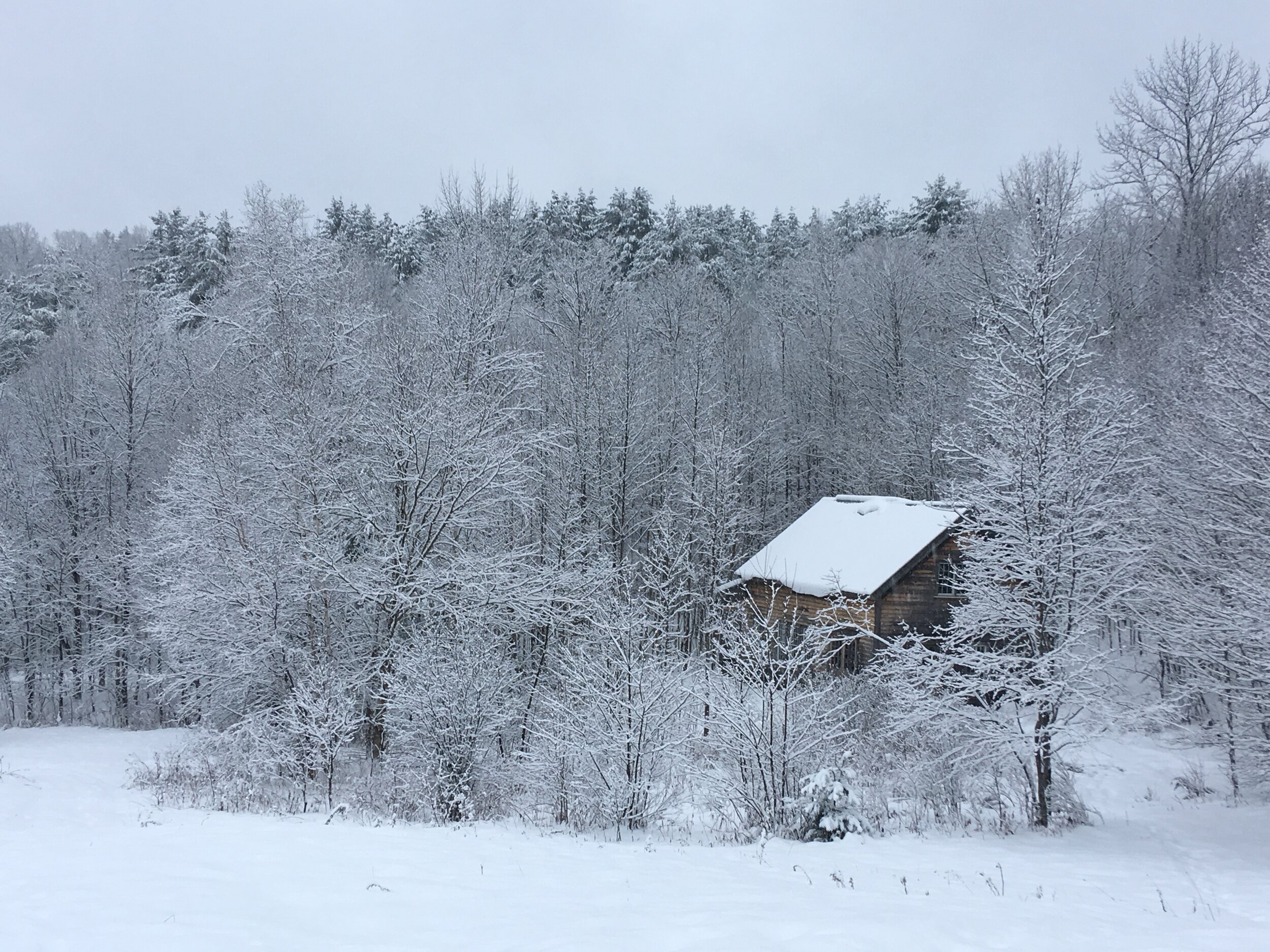  The workshop after a snow 