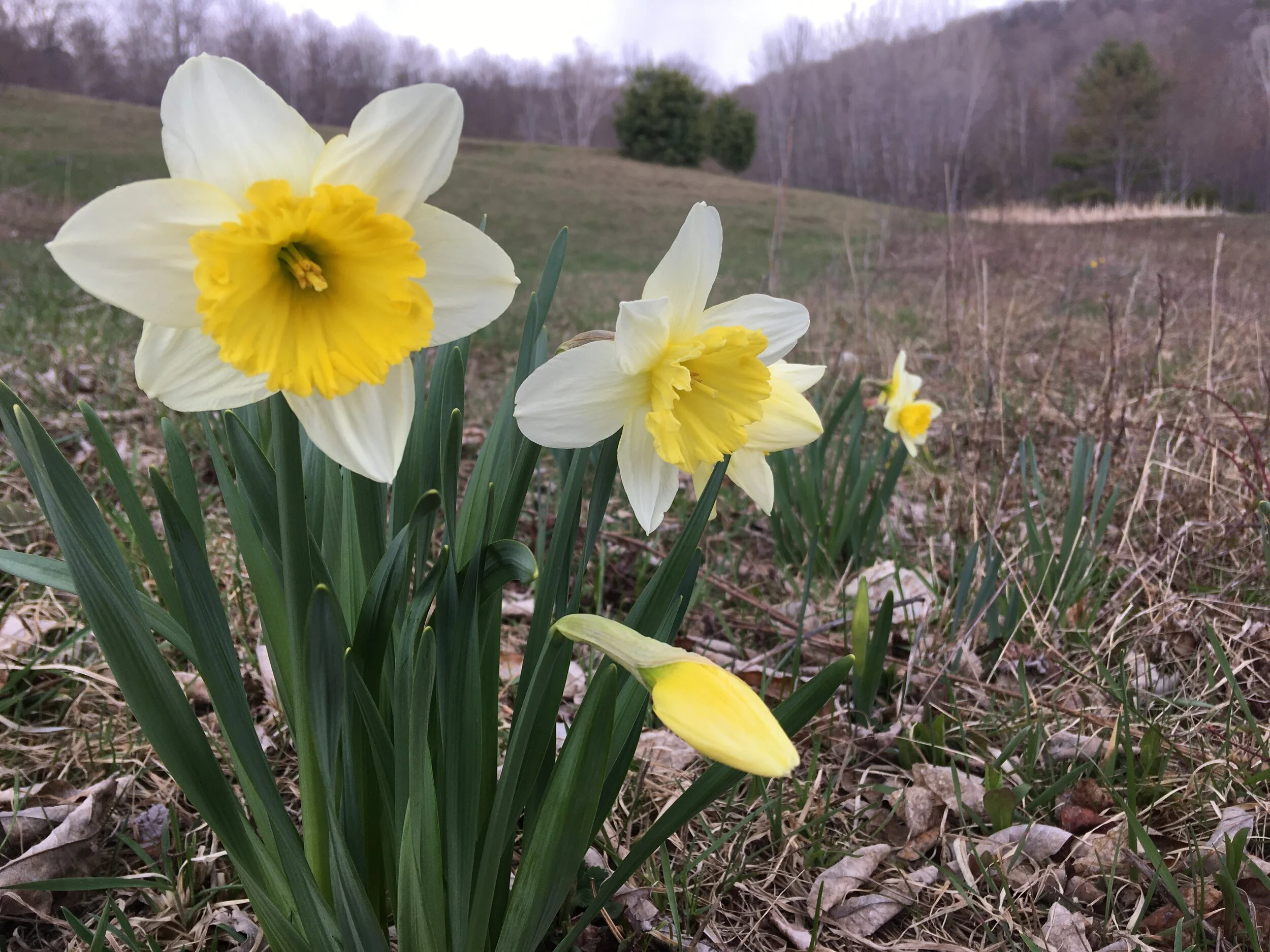 From Eight Thoughts to the Vision of God