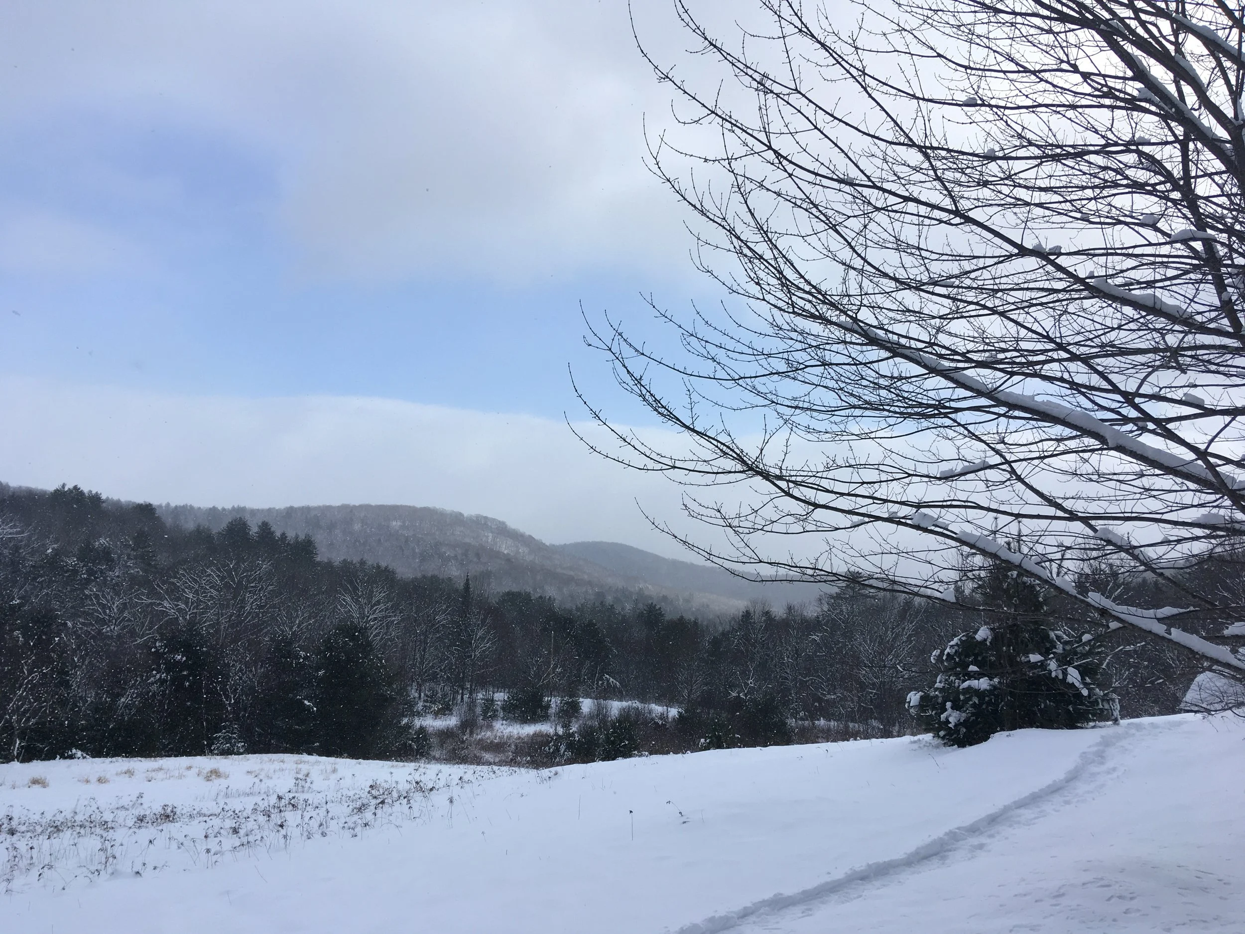 Unconditional Love, the False Self, and COVID Narratives