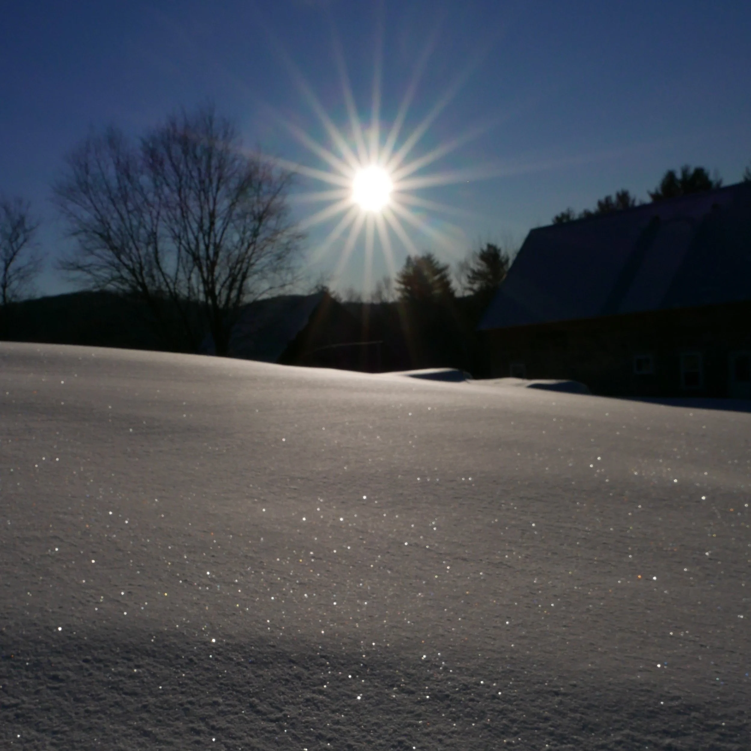 Toward a Christian Vision of Health